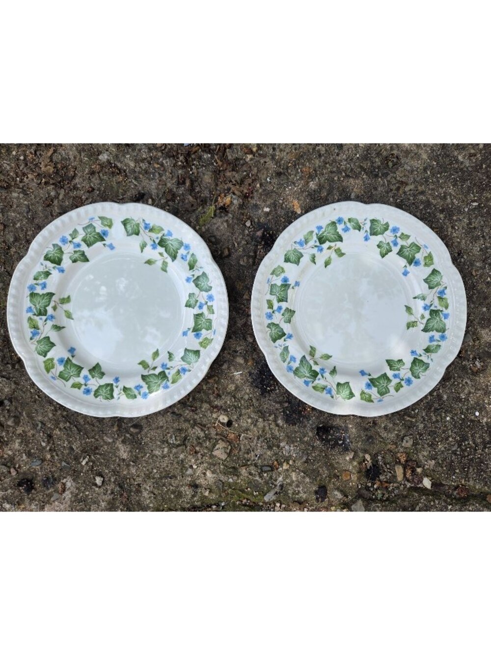 2 Johnson Bros Vintage 8" Salad Plates Green Ivy Blue Flowers Rope Edge